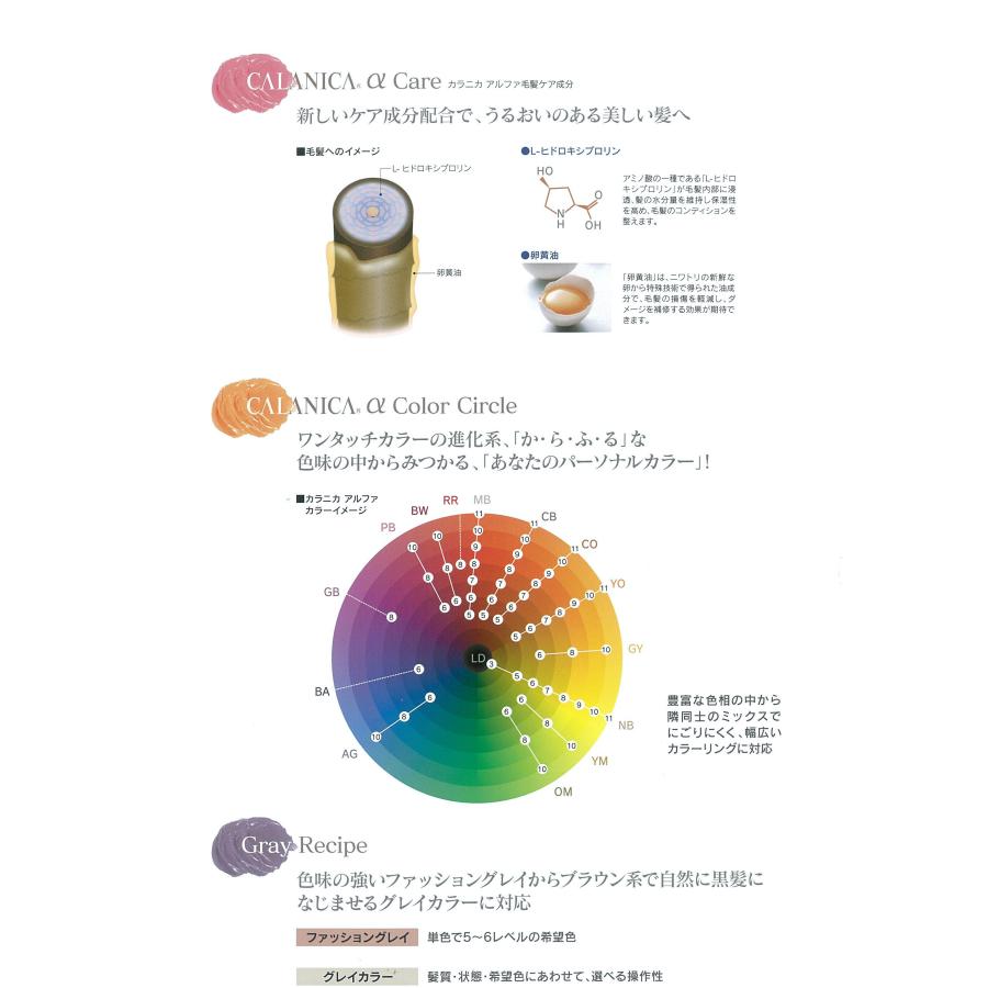 ヘアカラー おしゃれ染 全色61個セット ルノン カラニカアルファー 1