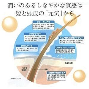 インケア　コンディショナー　パテサプリメント うるっと　トリートメント　詰め替え用　 1000ml （３個セット）_5