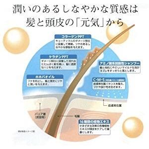 インケア コンディショナー ルノン 　パテサプリメント うるっと トリートメント　詰め替え用　 1000ml 　２個セット　ポンプスタンド１個付_8
