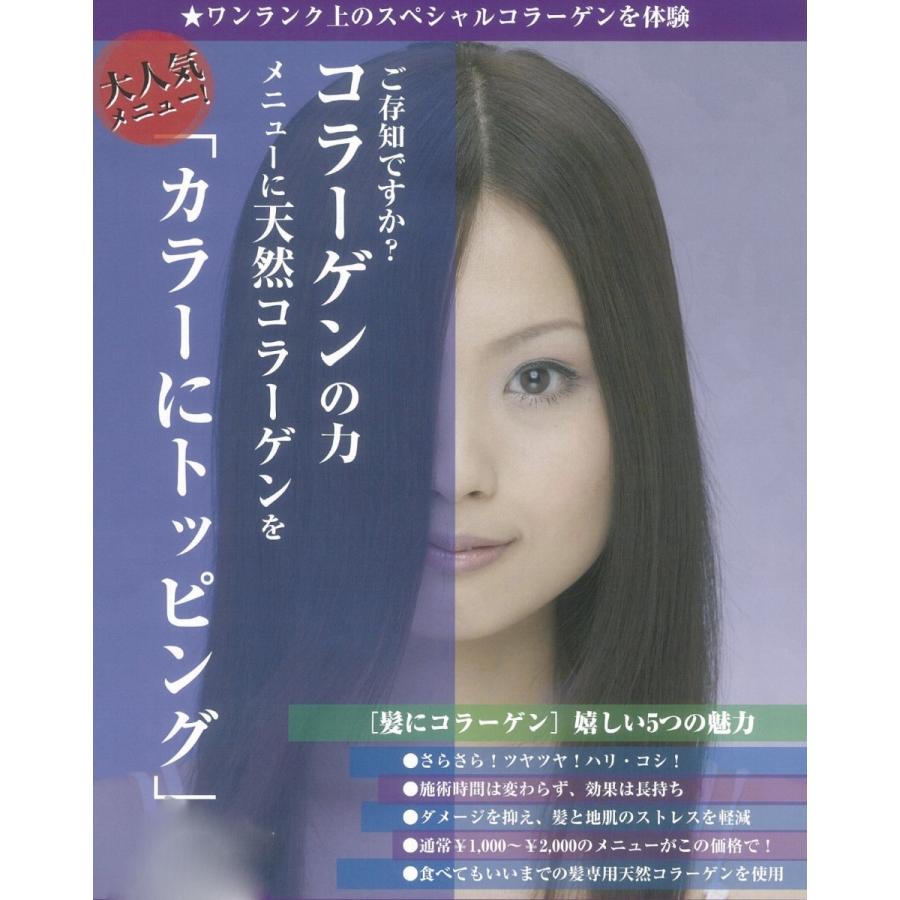 エスジィ コラーゲンＰＰＴ100  お徳用　100g　１個　シャンプー カラー パーマ 手荒れに万能　混ぜるだけ  縮毛矯正 酸熱 理容室 美容室｜bipro1｜02