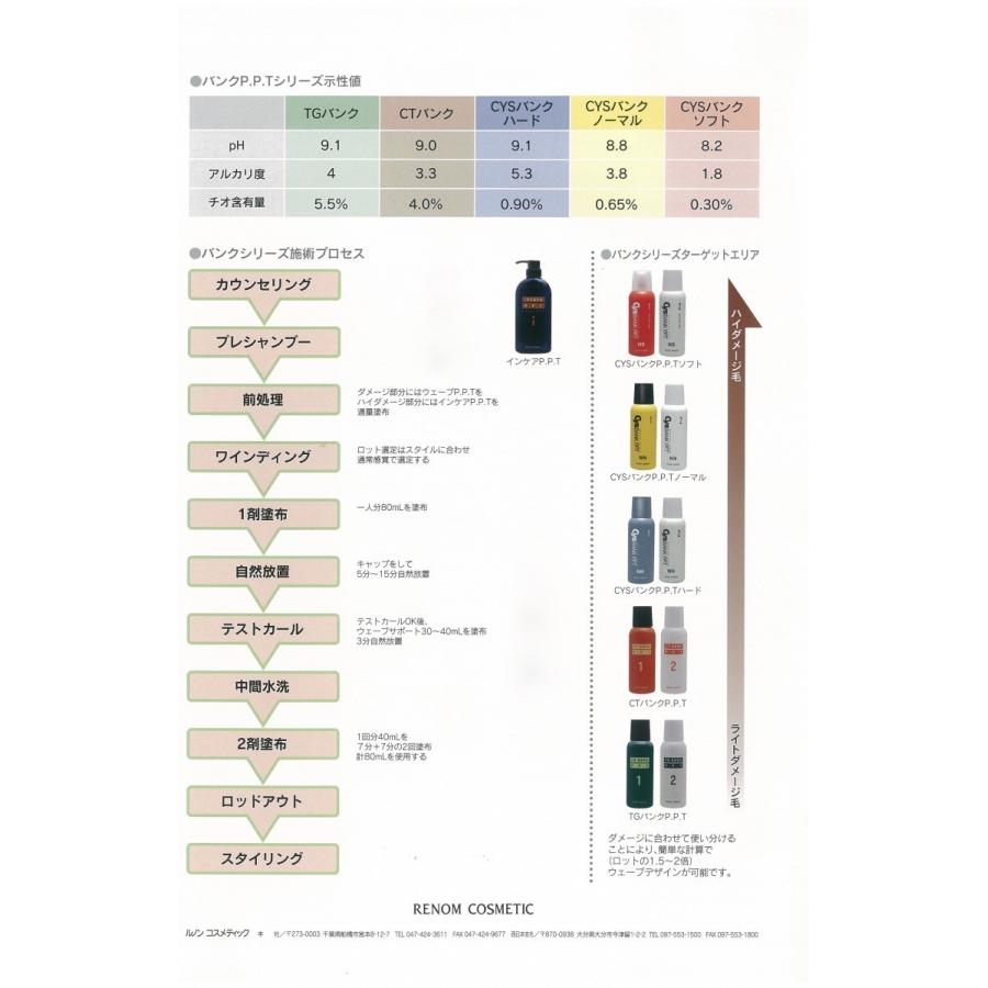 パーマ液 PPT配合 システィーン ナチュラルハード NH シスバンク 1液