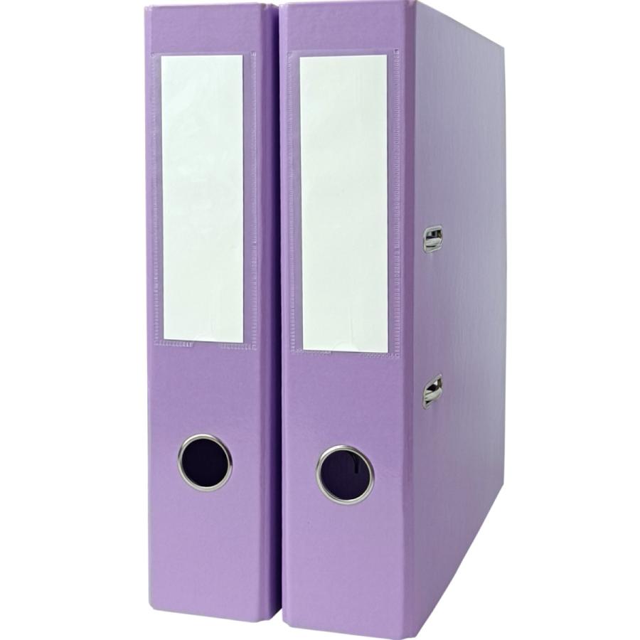 リングファイル A4 2穴【2冊セット/ブルー/グリーン/パープル/ピンク