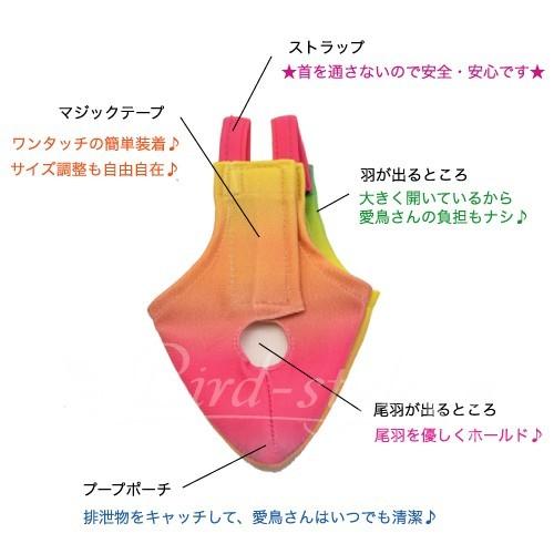 鳥籠・フライトスーツ⭐︎セット　【小型のオカメインコ】 フライトスーツ スモール〜ウロコインコ 小型のオカメインコ
