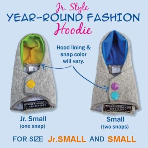 バーディフーディ スモール〜ウロコインコ 小型のオカメインコ