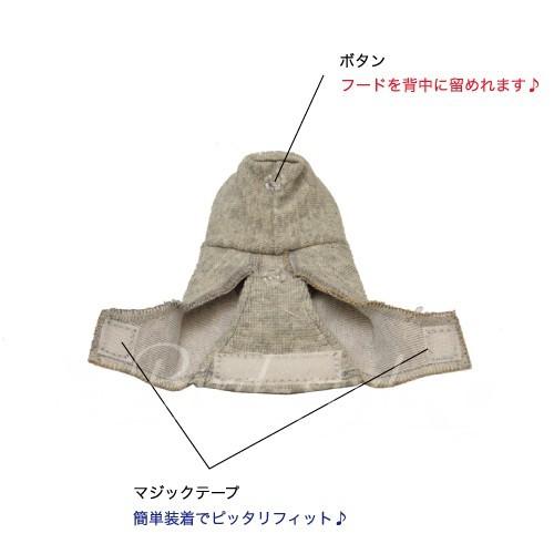 バーディフーディ スモール〜ウロコインコ 小型のオカメインコ : 鳥