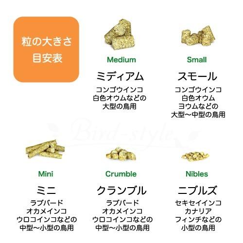 【5袋+おまけ】ラウディブッシュ デイリーメンテナンス（ミニ） 賞味期限 2027年1月30日 ラウディブッシュ デイリーメンテナンス