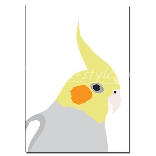 オカメインコのポストカード インコ 鳥 雑貨 グッズ Sg 001 鳥グッズの店 Bird Style Yahoo 店 通販 Yahoo ショッピング