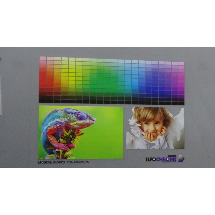 A3サイズUVプリンター バードランドUVP-A3XP UV-DTF印刷 ボトル印刷