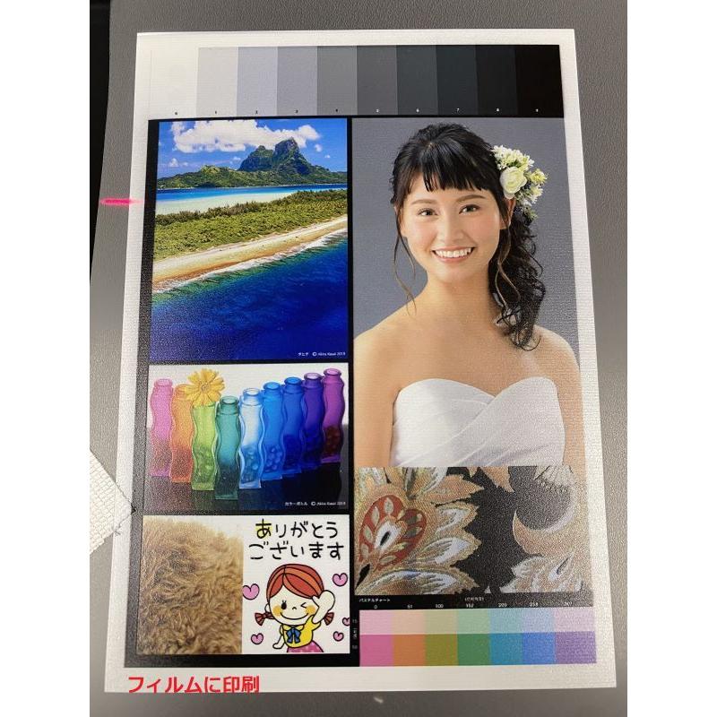 A4サイズUVプリンター 発売記念価格 Newモデル バードランドUVP A4サイズUVプリンター 発売記念価格 Newモデル バードランドUVP