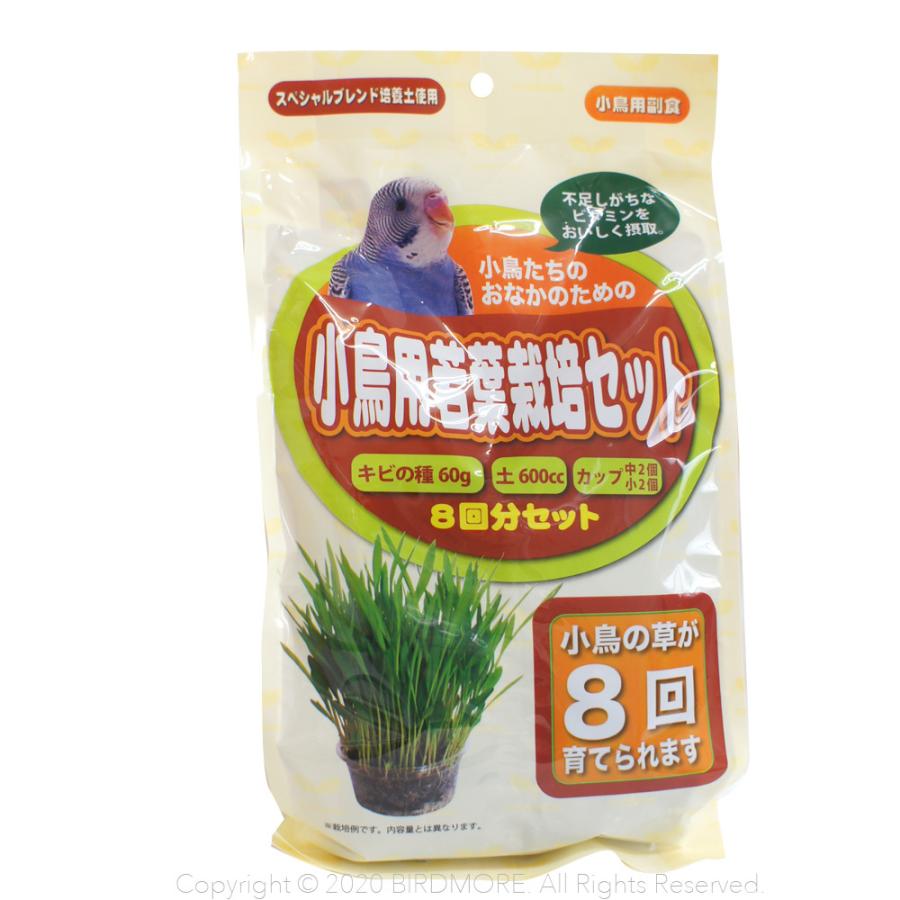 アラタ 小鳥用 若葉栽培 セット Birdmore バードモア 鳥 とり トリ 餌 えさ エサ フード ごはん インコ オウム 0 10 飼鳥用品専門店birdmore 通販 Yahoo ショッピング