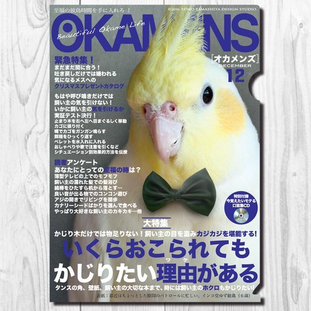 選択した画像 インコ 壁紙 かじる インコ 壁紙 かじる 対策