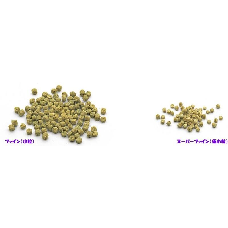 賞味期限2026年1月末 ハリソン アダルトライフタイム ファイン 小粒
