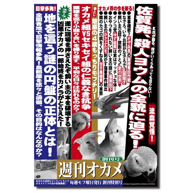 TOMO YAMASHITA DESIGN STUDIO. オカメインコ雑誌シリーズVol.3