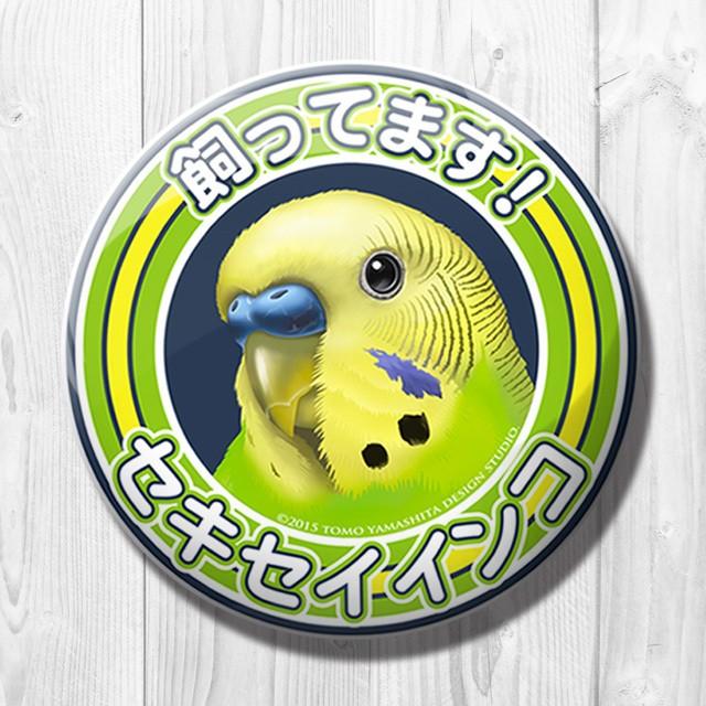 TOMO YAMASHITA DESIGN STUDIO. 飼ってます缶バッジ セキセイインコ