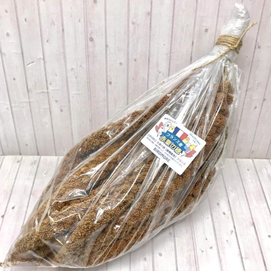 フランス産 赤粟穂 500ｇ　（ 1ｇ  約4円 )  BIRDMORE バードモア 赤粟 アワ ごはん 粟穂 フランス産 赤 粟 穂 鳥 とり トリ プレゼント おやつ｜birdmore｜02