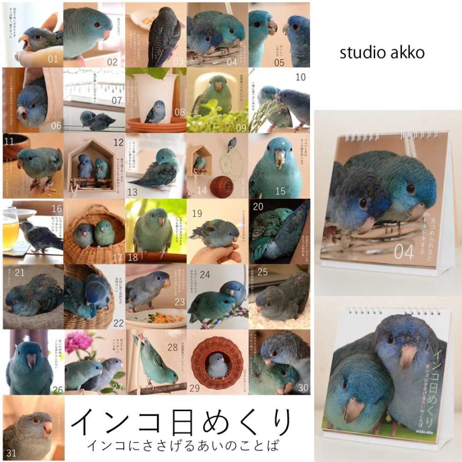 Studio Akko インコ日めくり サザナミインコ コバルト ブルー 151a0240 ネコポス対応可能 1冊まで可能 Birdmore バードモア 鳥用品 鳥グッズ 0 200001014145 10 飼鳥用品専門店birdmore 通販 Yahoo ショッピング