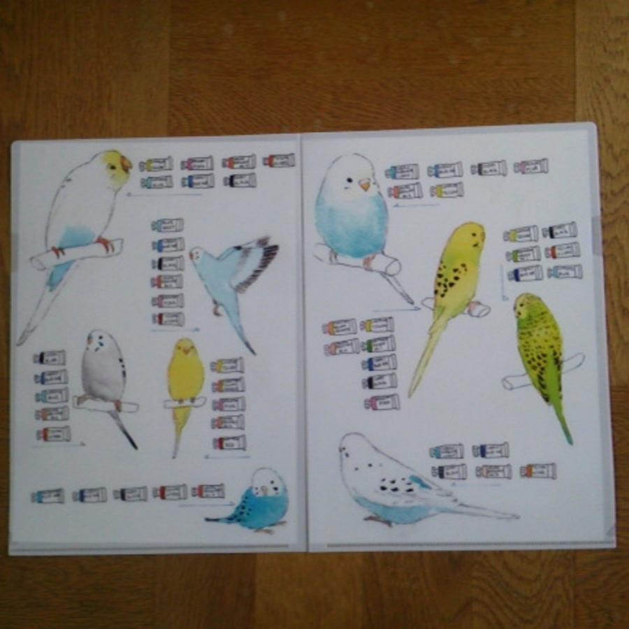 Momo Chi クリアファイル セキセイ3 078a0216 ネコポス 対応可能 Birdmore バードモア 鳥用品 鳥グッズ 雑貨 グッズ 鳥 とり トリ インコ 0 10 飼鳥用品専門店birdmore 通販 Yahoo ショッピング