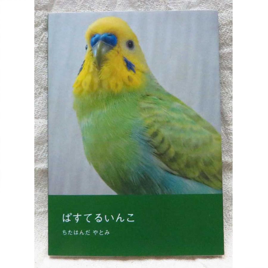 だが屋 写真同人誌 ぱすてるいんこ セキセイインコ 0a02 ネコポス 対応可能 Birdmore バードモア 鳥用品 鳥グッズ 雑貨 グッズ 鳥 とり トリ 0 10 飼鳥用品専門店birdmore 通販 Yahoo ショッピング