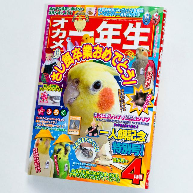 TOMO YAMASHITA DESIGN STUDIO. メモ帳 オカメ 一年生 195A0403 ネコポス対応可能 BIRDMORE バードモア 鳥グッズ 鳥用品 雑貨 鳥 バード プレゼント :0-200001018082-10:飼鳥用品専門店BIRDMORE - 通販 - Yahoo!ショッピング TOMO YAMASHITA DESIGN STUDIO. メモ帳 オカメ 一年生 195A0403 ネコポス対応可能 BIRDMORE バードモア 鳥グッズ 鳥用品 雑貨 鳥 バード プレゼント :0-200001018082-10:飼鳥用品専門店BIRDMORE - 通販 - Yahoo!ショッピング