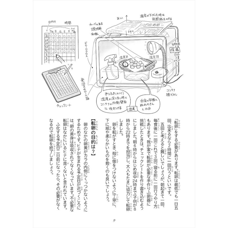 ことり御屋  書籍 うずらのふ化と飼育 234A0262 ネコポス対応可能 BIRDMORE バードモア CRAFT GARDEN 鳥用品 鳥グッズ 雑貨 鳥 とり ウズラ 鶉　うずら 孵化｜birdmore｜03