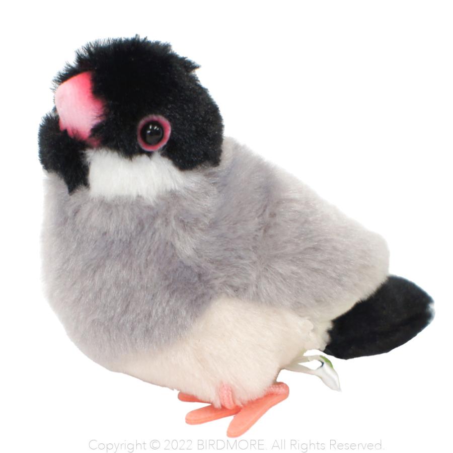 桜文鳥　デカ文鳥　ぬいぐるみ 特大文鳥ぬいぐるみが初登場‼️ コレド室町テラス2Fで、文鳥