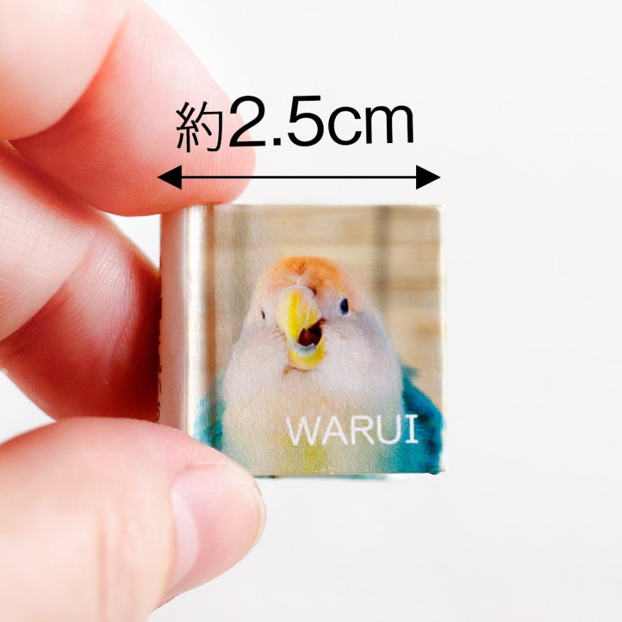 tokyoshiori  2.5cm写真集 『 悪いお顔と丸いお顔 』　  コザクラインコ   245A0278　ネコポス 対応可能　BIRDMORE バードモア CRAFT GARDEN 鳥用品 鳥グッズ | 