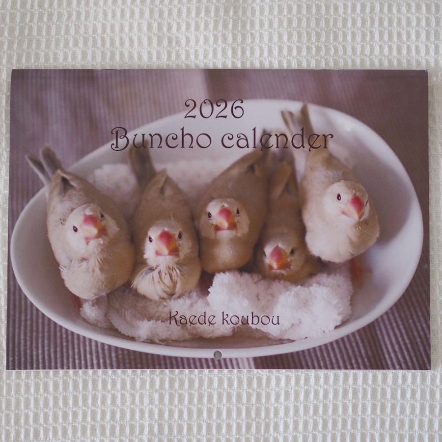 楓工房 カレンダー・2026文鳥カレンダー 文鳥 ・多品種 202A0437