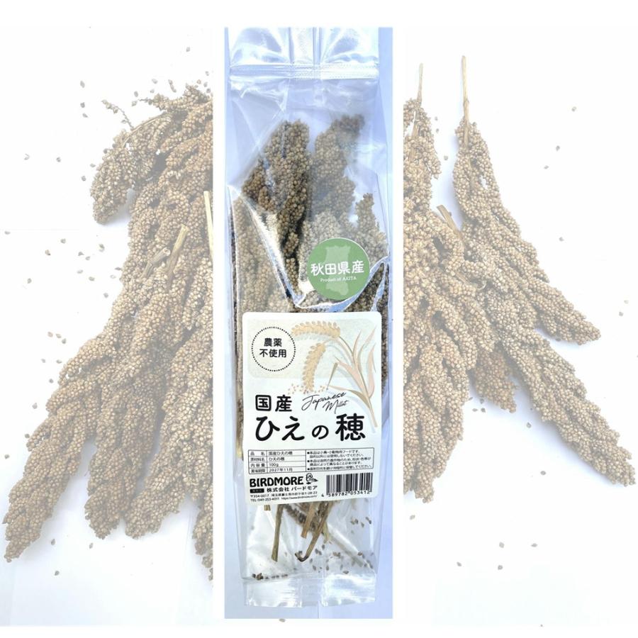 インコ エサ 国産 ( 秋田県産  ) ひえの穂 農薬不使用 100g 9999563 BIRDMORE バードモア 鳥用品（Yahoo!・飼鳥用品専門店BIRDMORE）