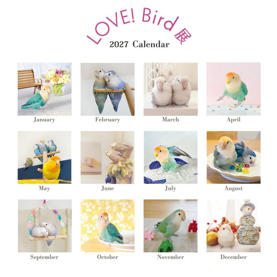 tokyoshiori LOVE! Bird展 2027カレンダー 壁掛け 小さめサイズ
