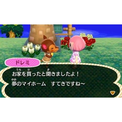 とびだせ どうぶつの森 中古 3DS ソフト｜birds-eye｜03