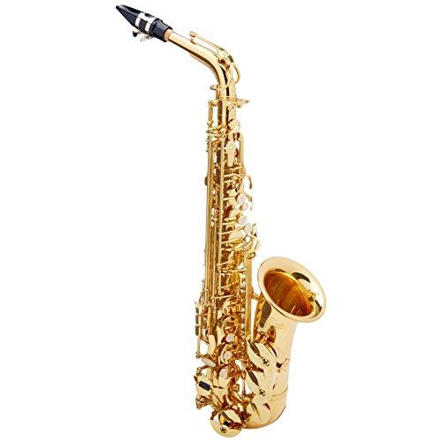 【アウトレット☆送料無料】 Roy Benson MOD.AS-302 EB Alto Brass Body Lacquered Saxophone with Case 並行輸入品 その他管楽器、吹奏楽器
