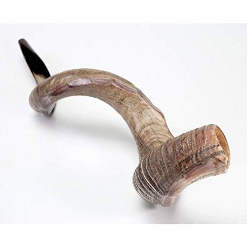 【冬バーゲン★特別送料無料!】 Kudu Israel Shofarot Yemenite 並行輸入品 new 35"-37" approx Polished All Kosher SHOFAR HORN その他管楽器、吹奏楽器 【冬バーゲン★特別送料無料!】 Kudu Israel Shofarot Yemenite 並行輸入品 new 35"-37" approx Polished All Kosher SHOFAR HORN その他管楽器、吹奏楽器