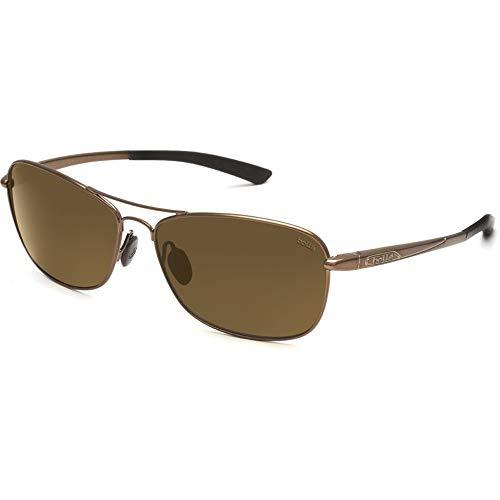 【受注生産品】 Bolle Ventura Sunglasses (TLB Dark, Shiny Light Brown) 並行輸入品 サングラス
