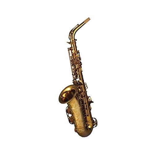 大割引 Alto Saxophone Alto Student WYKDL Saxophone 並行輸入品 Saxophone Children's Adult Playing Beginners Saxophone E-flat その他管楽器、吹奏楽器