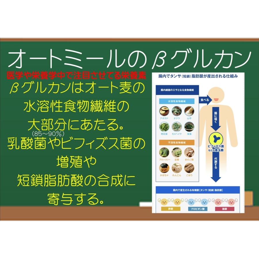 オートミールパン（オートミールカンパーニュ10個入り）オーツ麦１００％使用で無添加　栄養価抜群　グルテンフリー　卵抜き　乳製品抜き　砂糖抜き｜biron-store｜08