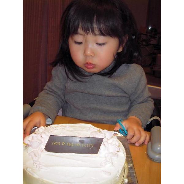 人気ブランドを バースデーケーキ お誕生日ケーキ スイーツ ケーキ ピンク色の生クリーム苺味ケーキ8号 訳ありセール格安 Atempletonphoto Com