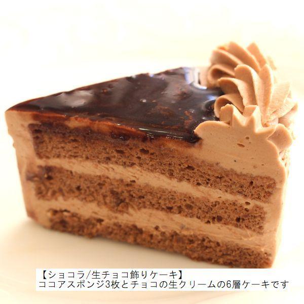 キャラデコクリスマス 21 トロピカル ジュ プリキュア ケーキ 妖精くるるんのハートクルリング クリスマスver 4種類のケーキからお選びください 21 手作り菓子店バースデーケーキ 通販 Yahoo ショッピング