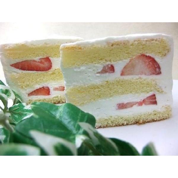 いちご バースデーケーキ 9号 北海道生クリーム お誕生日用に子供に