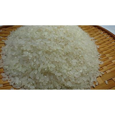 子育て世代応援米・第３弾　１０ｋｇ【令和７年産】【秋田県産】【あきたこまち】【白米】（Yahoo!・秋田・報徳佐野農園）