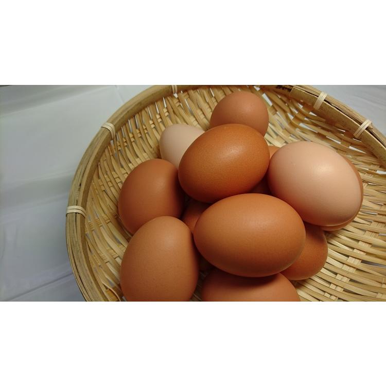 庭鶏の卵4ケース24個 （6個入り×4ケース）※夏期はクール便をおススメ
