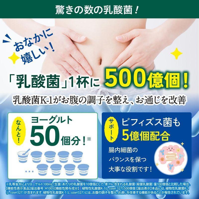世田谷自然食品 乳酸菌が入った青汁プレミアム15包 : Biruwa shop