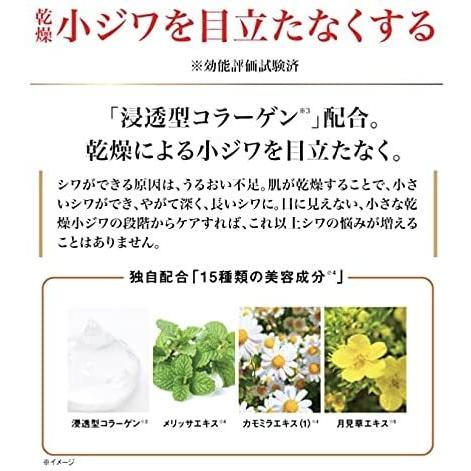 シーク SEAC 薬用リンクルクリーム 13g ハーフサイズ 【 医薬部外品