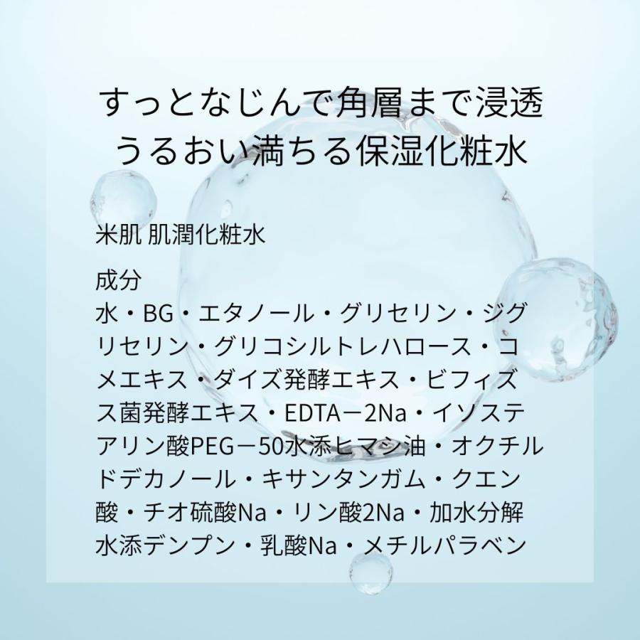米肌（MAIHADA） 肌潤化粧水 つめかえ用 110mL : 美彩活 - 通販