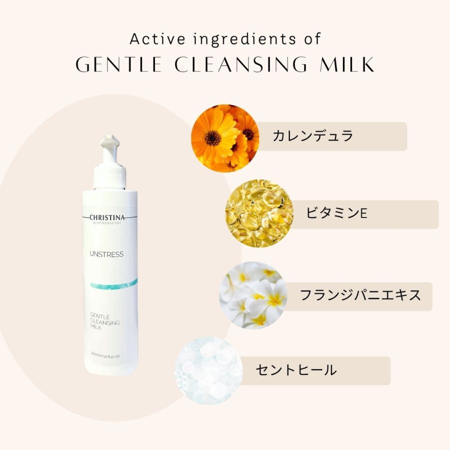 UNSTRESS クリスティーナ アンストレス ジェントル クレンジング