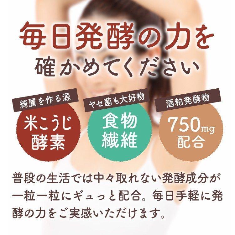 普段の生活ではなかなか取れない発酵成分が一粒一粒にギュッと配合！毎日手軽に発酵の力をご実感いただけます♪ 