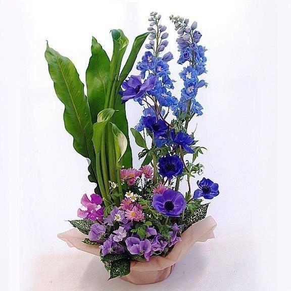 お供え お悔やみ 花 洋風 シンプル モダン フラワーアレンジメント No 4 0002 Bises Flower 通販 Yahoo ショッピング