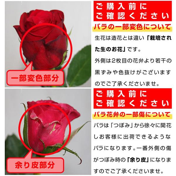 バラ 花束 100本 バラの花束 プロポーズ 108本 変更可 誕生日 ギフト お祝い 結婚記念日 プレゼント ブーケ 生花 ローズ 薔薇 大きい 還暦 結婚式 赤 色｜bises｜12