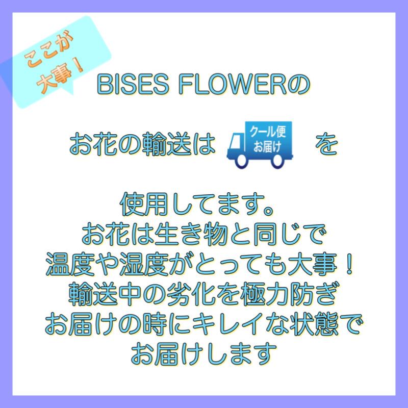 【安心のクール便出荷】バラの花束 ピンク バラ 花束 30本 生花 キャンディアバランチェ 大輪バラ 透明感 グラデーション お祝い 送料無料 ギフト プレゼント |  | 06