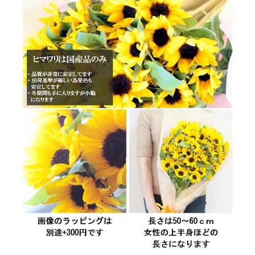 クール便発送】ひまわりの花束 50本 ひまわり ヒマワリ 向日葵 花束