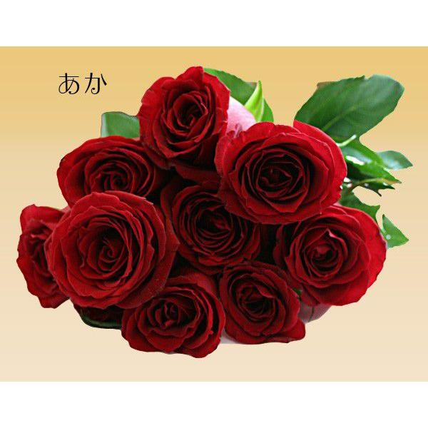 バラ 花束 大輪 1本 368円 10本からお好きな本数を花束に 薔薇 花 生花 ブーケ 誕生日 お祝い 結婚記念日 インポートローズ ギフト プレゼント Import5 Bises Flower 通販 Yahoo ショッピング
